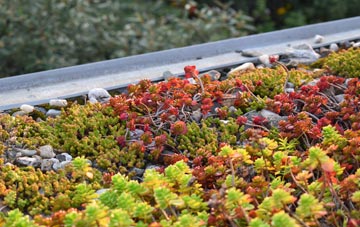 the cost of Cursiter green roof installation