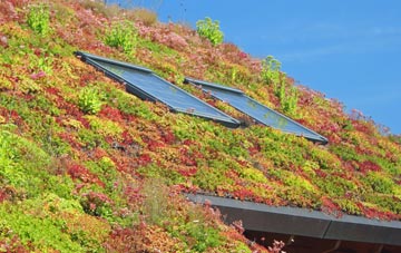 Cursiter living roof systems