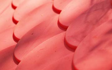 Cursiter plastic roof costs