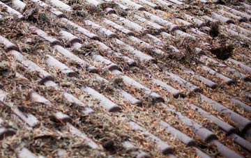 Cursiter roof cleaning companies