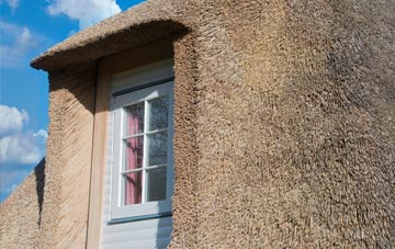 Cursiter thatch roof disadvantages