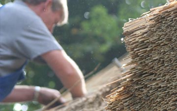 professional Cursiter thatchers