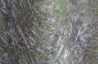 Cursiter fibreglass roof work